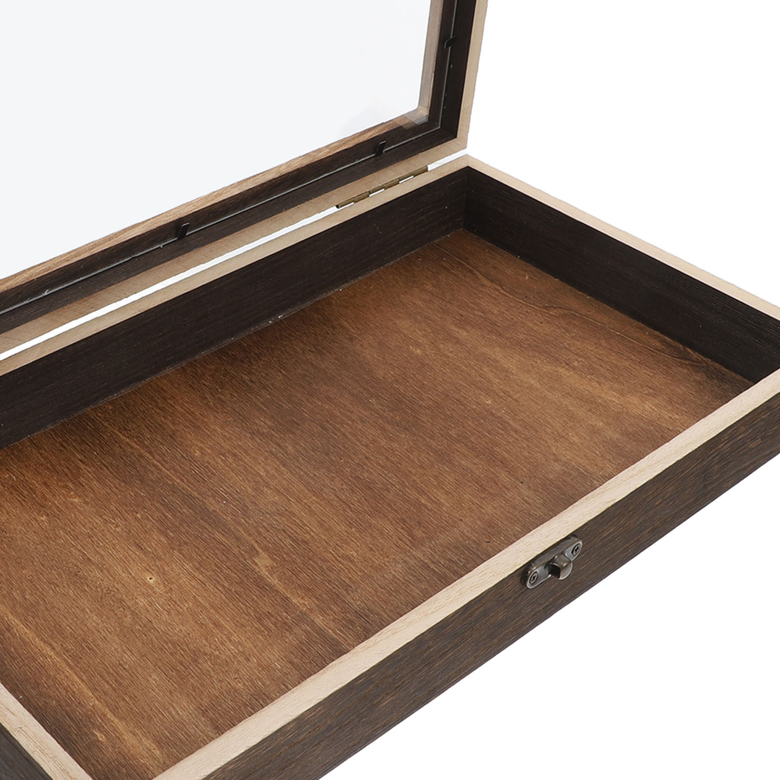 Butterfly Specimen Display Cas - Frame Display Wood recensione e prezzo