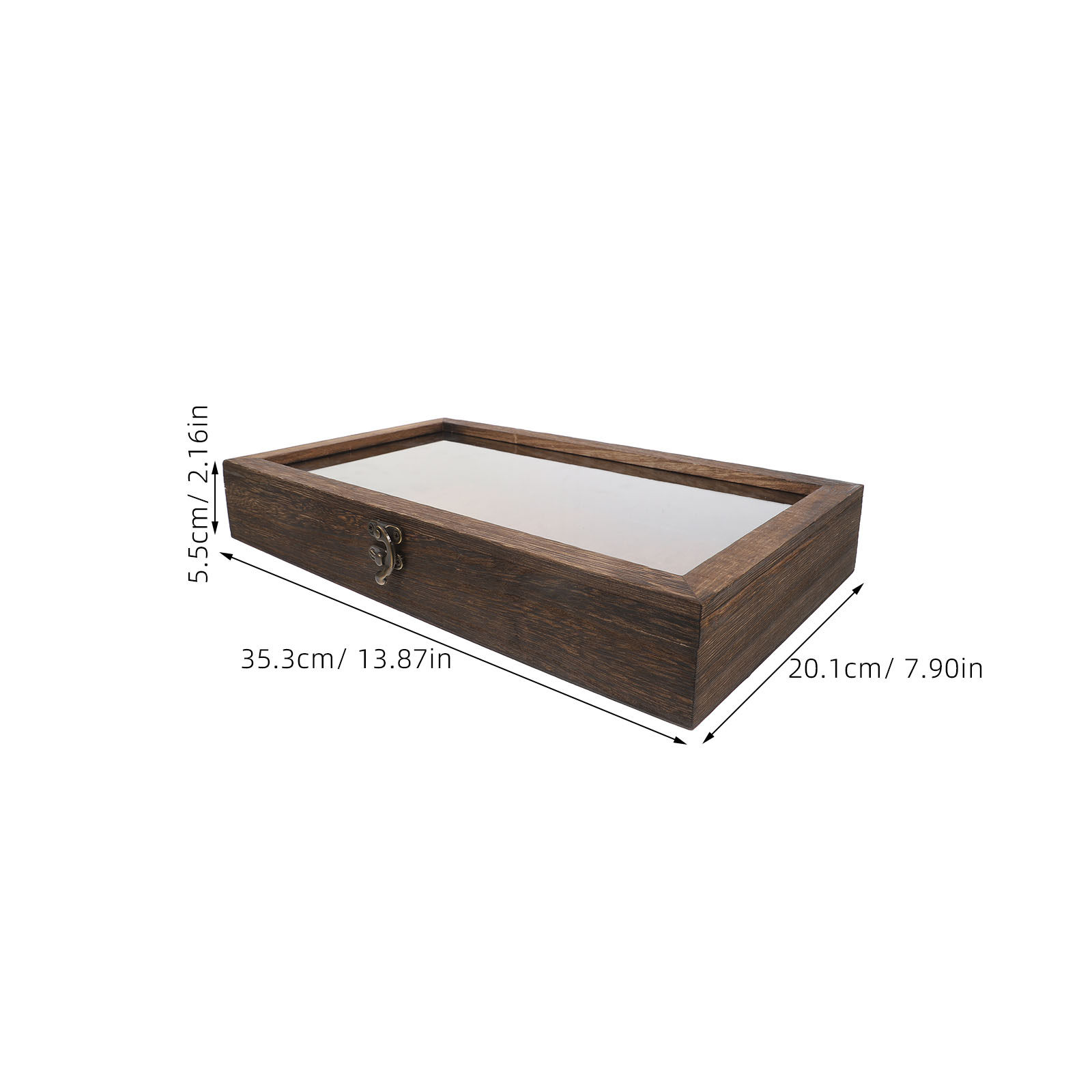 Butterfly Specimen Display Cas - Frame Display Wood recensione e prezzo