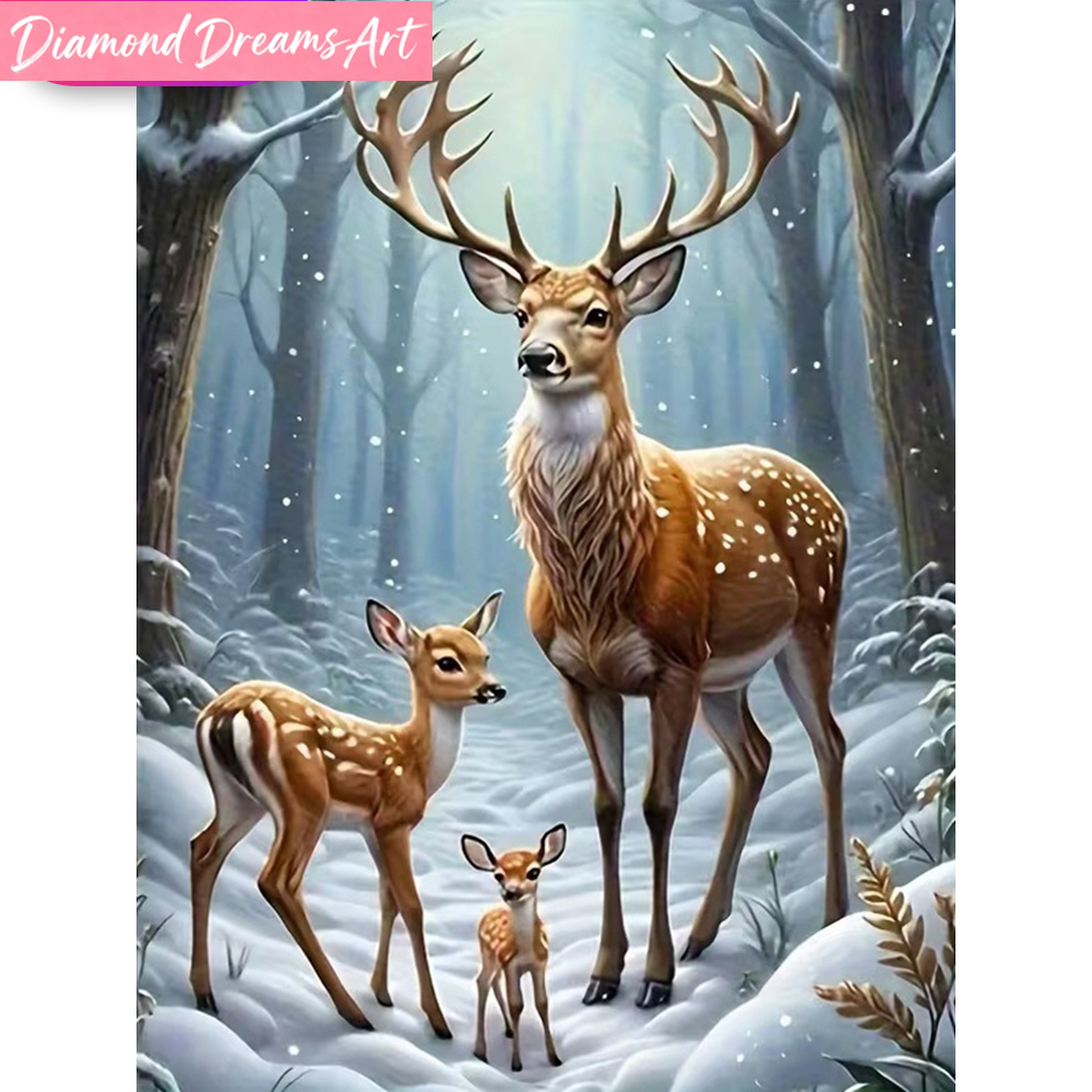 Frameless, Diamond Painting De - Embroidery For Beginners recensione e prezzo