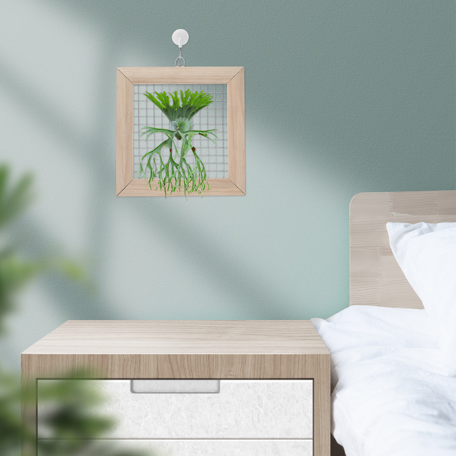 Solid Wood Staghorn Fern Mount - Frame Display Wood recensione e prezzo