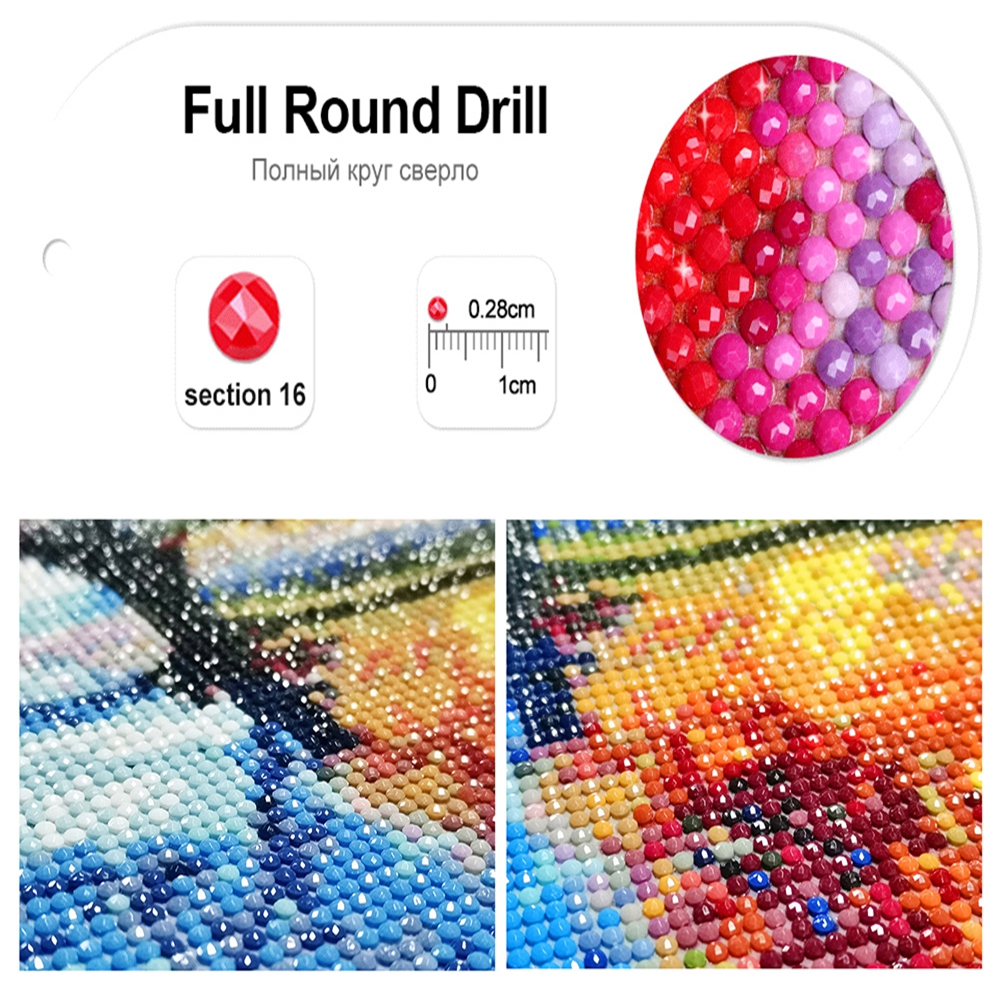 DIY Diamond Art Painting Kit C - Embroidery Artist recensione e prezzo