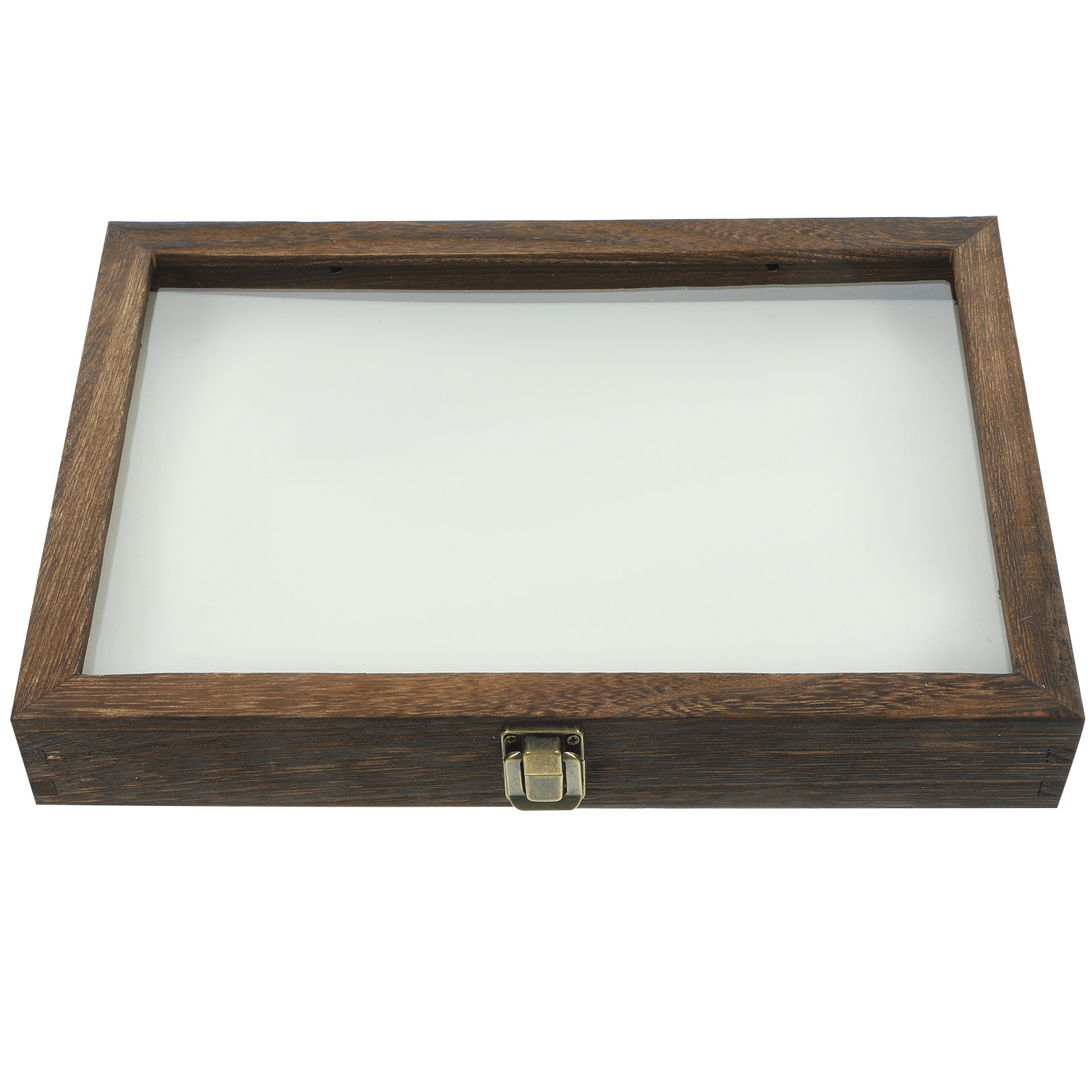 1Set Wood Specimen Storage Box - Frame Display Wood recensione e prezzo